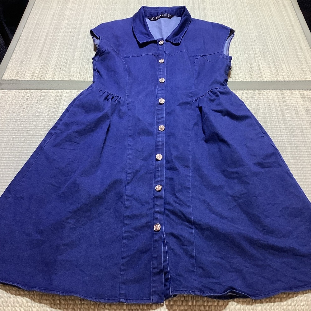 Goelia Denim Stretch Dress